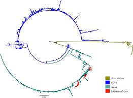 chikungunya-127.png