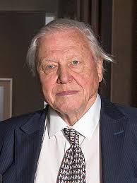 david-attenborough-231.jpeg
