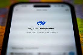 deepseek-206.jpeg