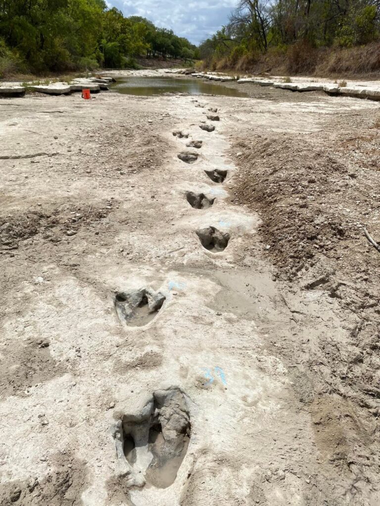 dinosaur-footprints-113.jpeg