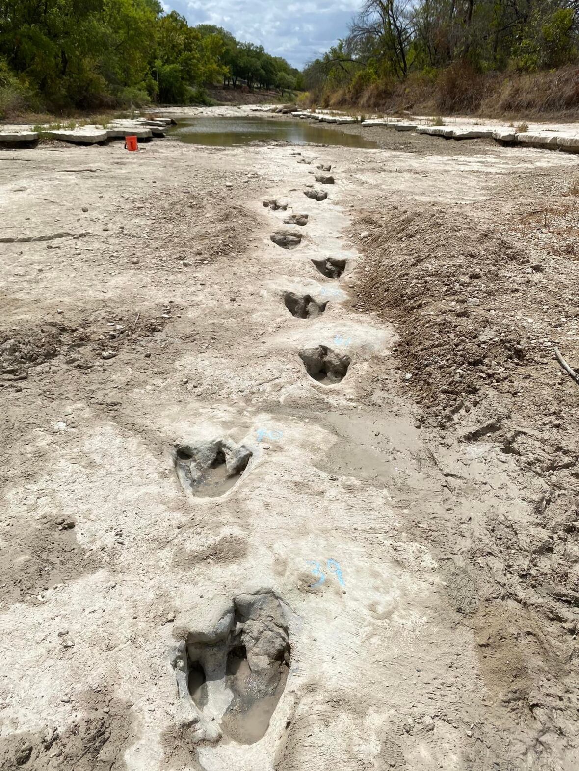 dinosaur-footprints-113.jpeg