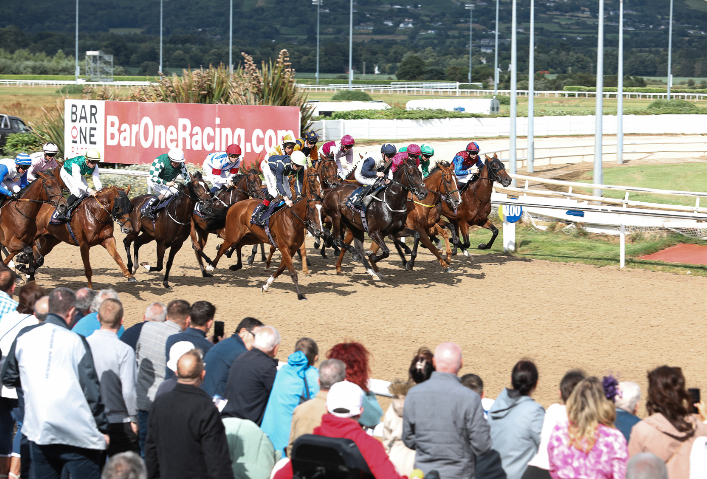 dundalk-races-274.png
