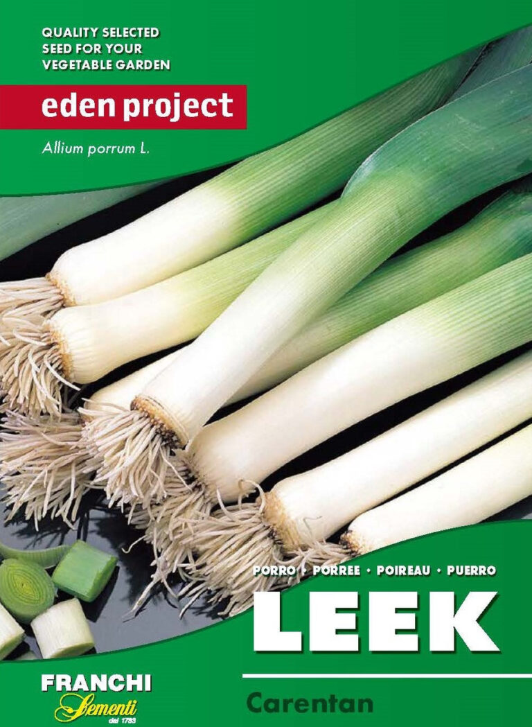eden-project-237.jpeg
