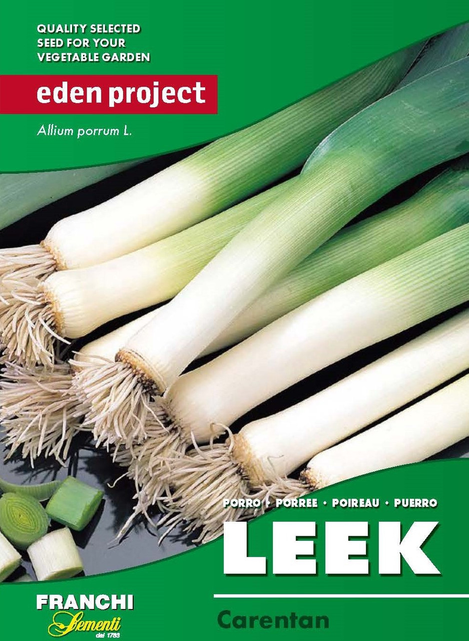 eden-project-237.jpeg