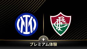 fluminense-vs-internacional-229.jpeg