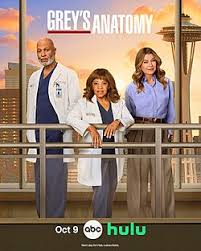 grey-anatomy-season-22-12.jpeg