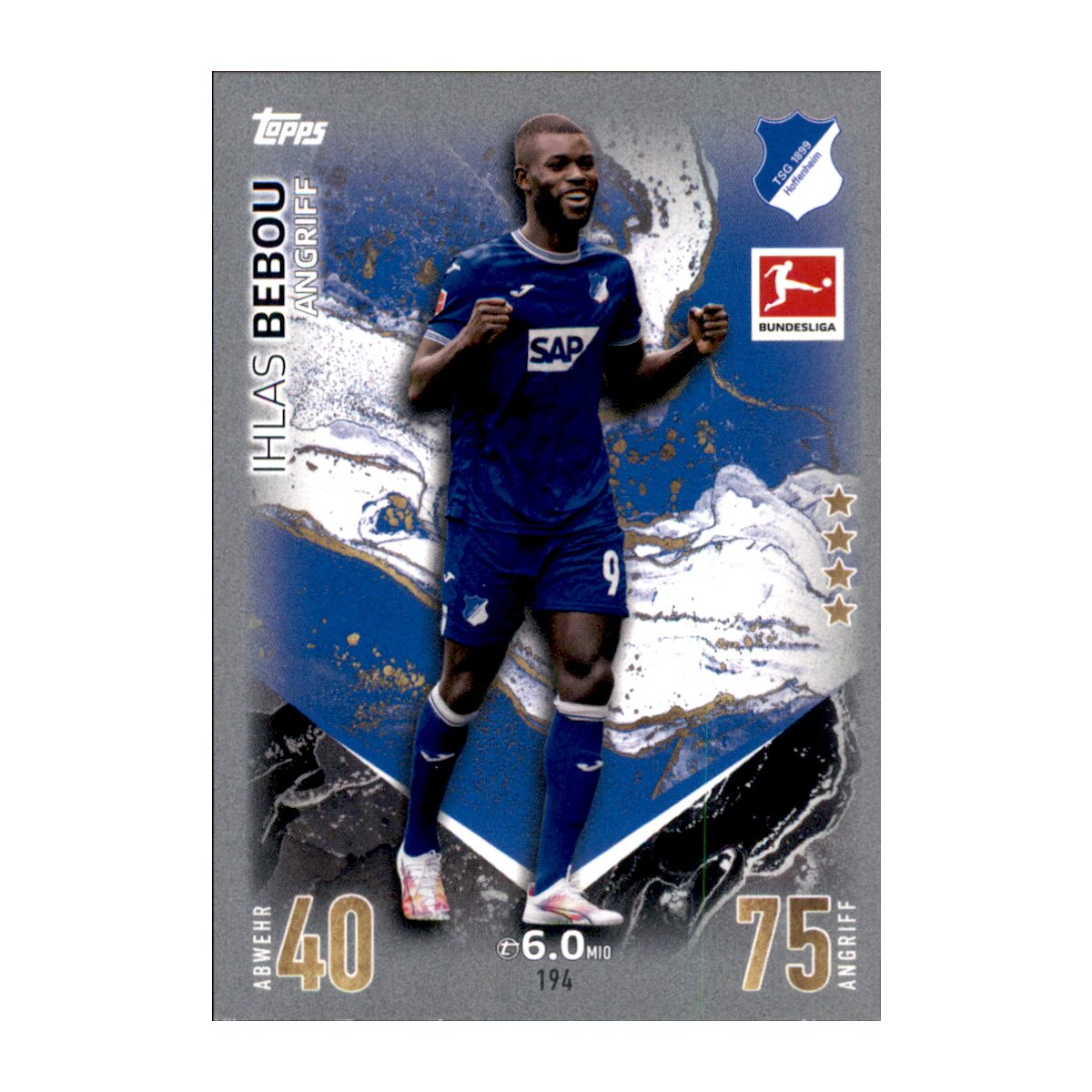 hoffenheim-194.jpeg