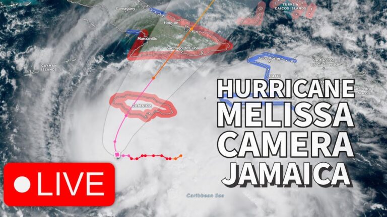 jamaica-live-cam-2.jpeg