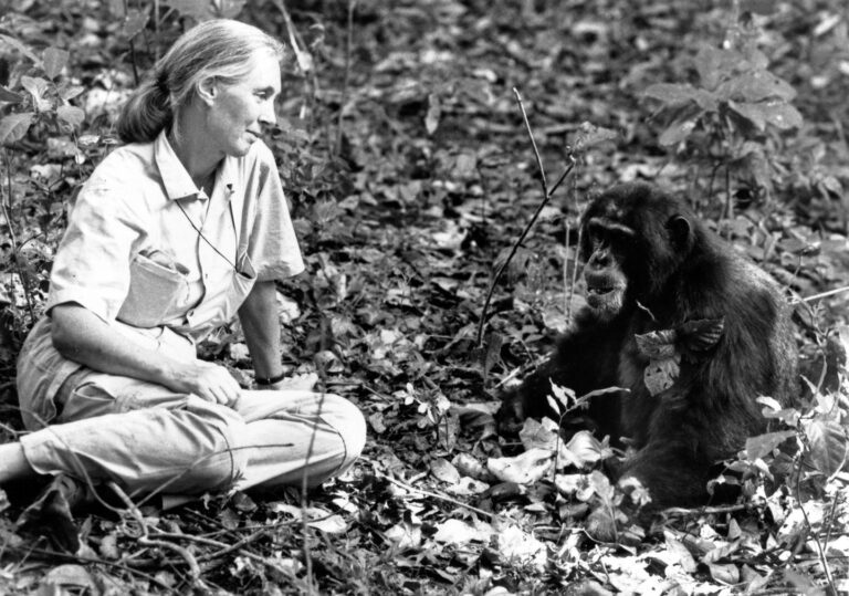 jane-goodall-1.jpg