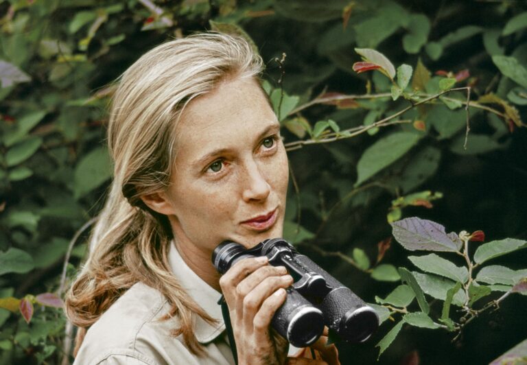 jane-goodall-200.jpeg