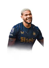 joelinton-224.jpeg