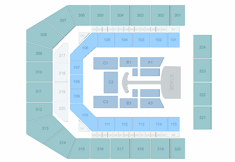 lady-gaga-manchester-109.png