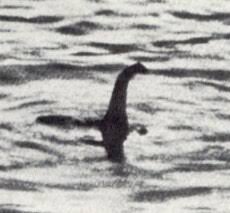 loch-ness-241.jpeg