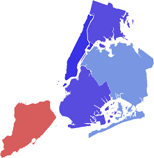 nyc-mayoral-election-136.png