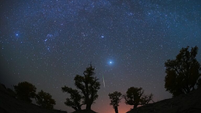 orionid-meteor-shower-63.jpeg