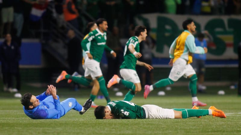 palmeiras-vs-ldu-quito-49.jpeg