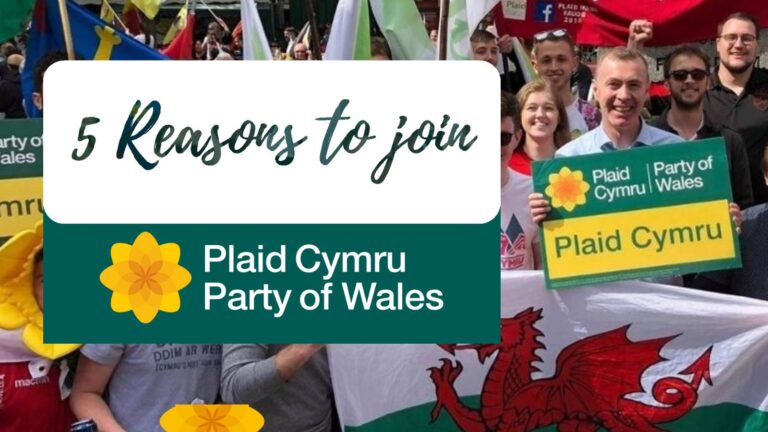 plaid-cymru-5.jpeg