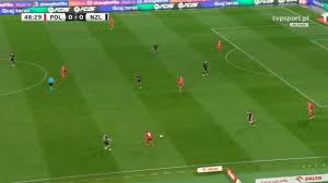 poland-vs-new-zealand-48.jpeg
