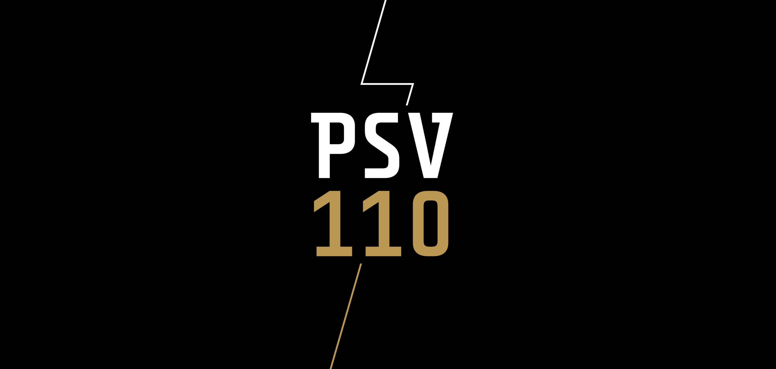 psv-110.jpeg