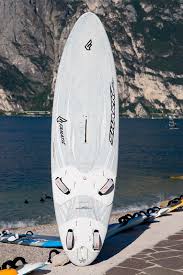 shark-130.jpeg