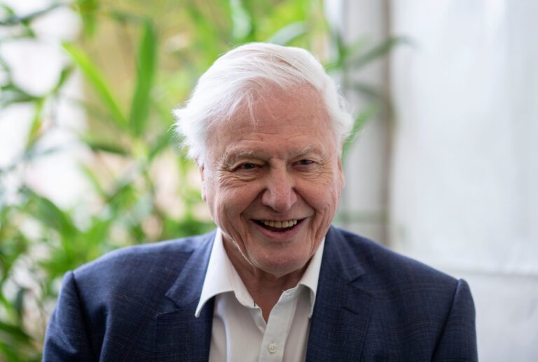 sir-david-attenborough-35.jpeg