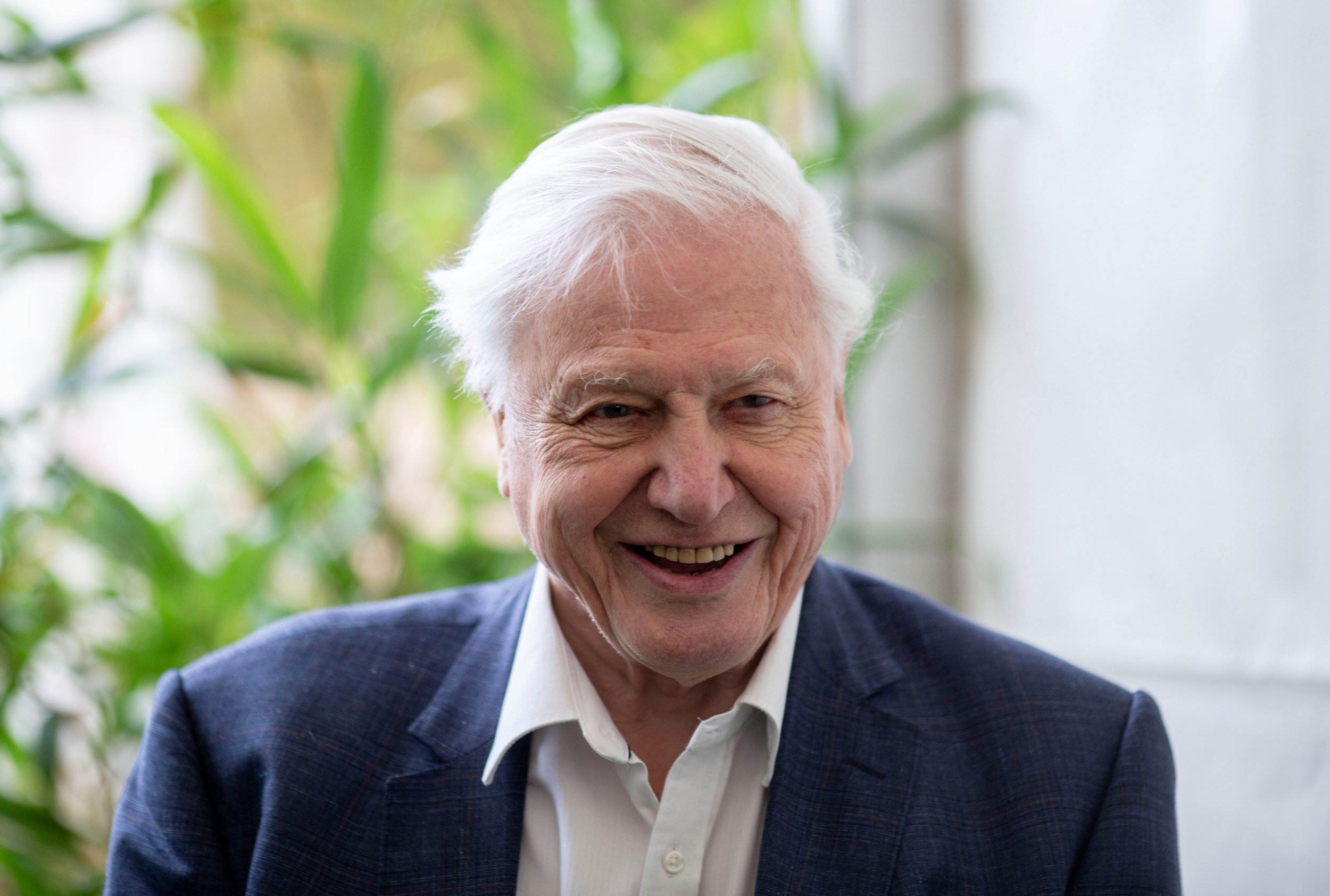sir-david-attenborough-35.jpeg