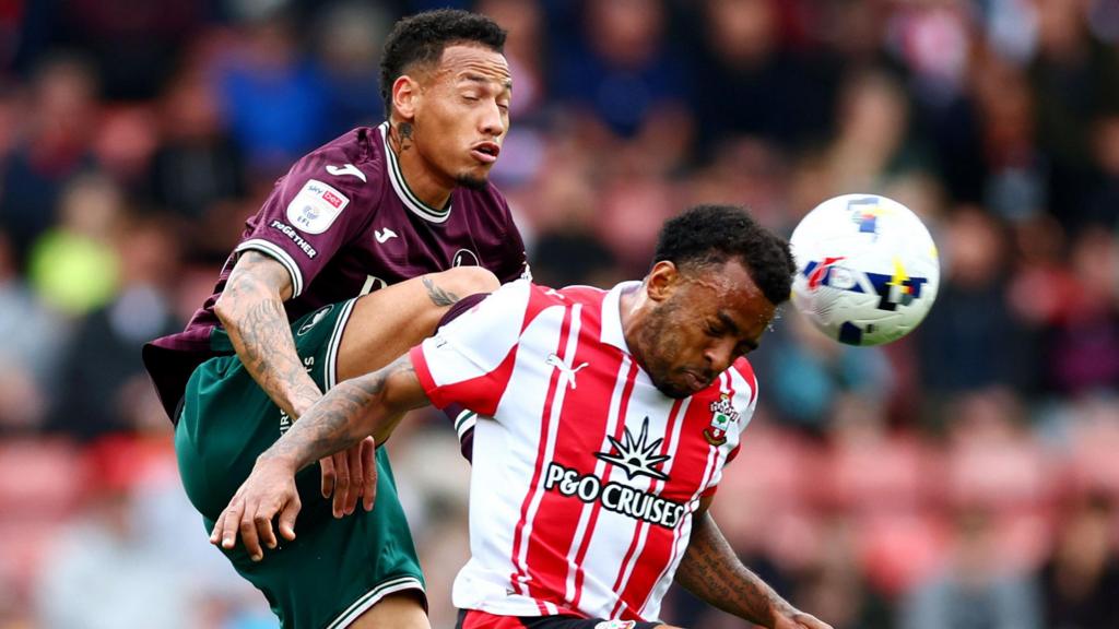 southampton-vs-swansea-7.jpeg