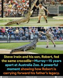 steve-irwin-146.jpeg