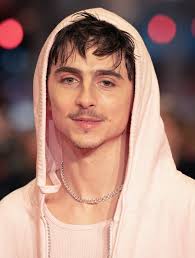 timothee-chalamet-181.jpeg