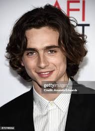 timothee-chalamet-234.jpeg