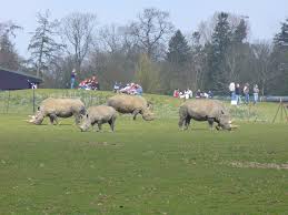 whipsnade-zoo-284.jpeg