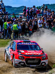 wrc-213.jpeg