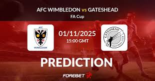 afc-wimbledon-vs-gateshead-82.jpeg