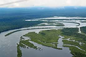 amazon-river-251.jpeg