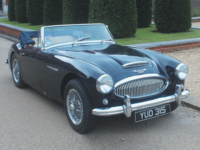 austin-healey-315.jpeg