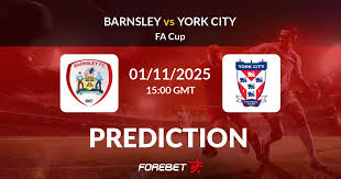 barnsley-vs-york-city-40.jpeg
