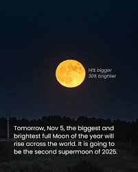 beaver-moon-14.jpeg
