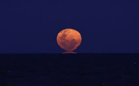 beaver-moon-supermoon-november-80.jpeg