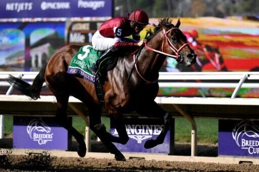 breeders-cup-results-288.jpeg