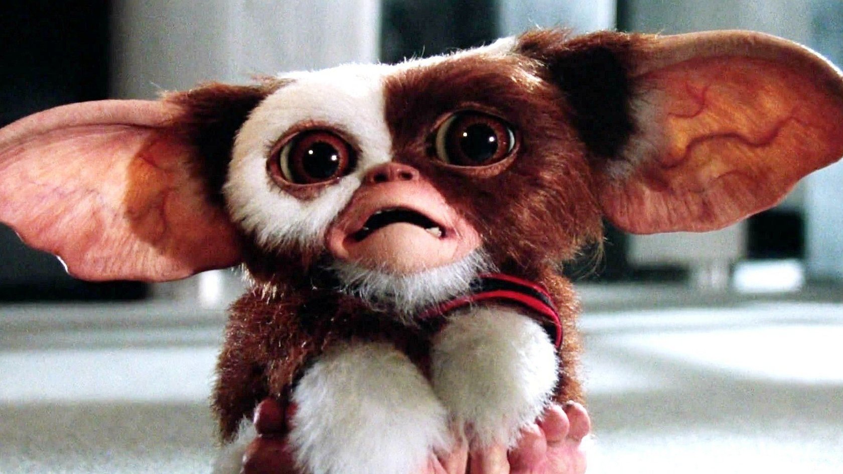 gremlins-3-84.jpeg