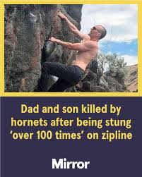 laos-hornets-49.jpeg