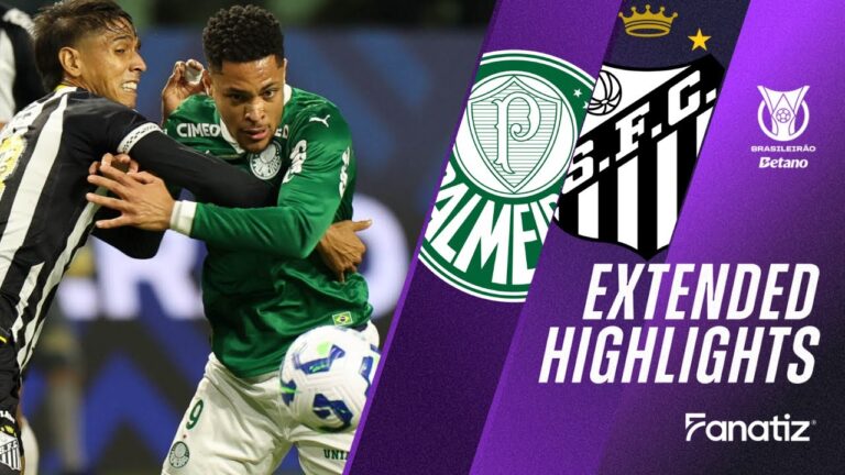 palmeiras-vs-santos-55.jpeg