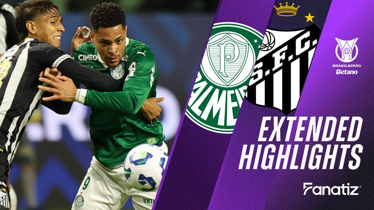 palmeiras-vs-santos-55.jpeg