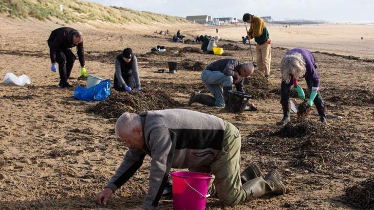 camber-sands-plastic-beads-28.jpeg