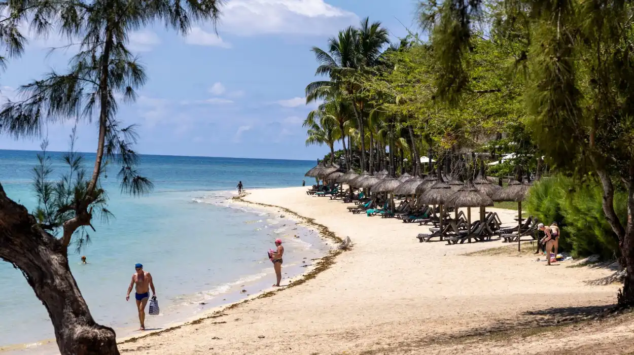 chagos-islands-75.webp