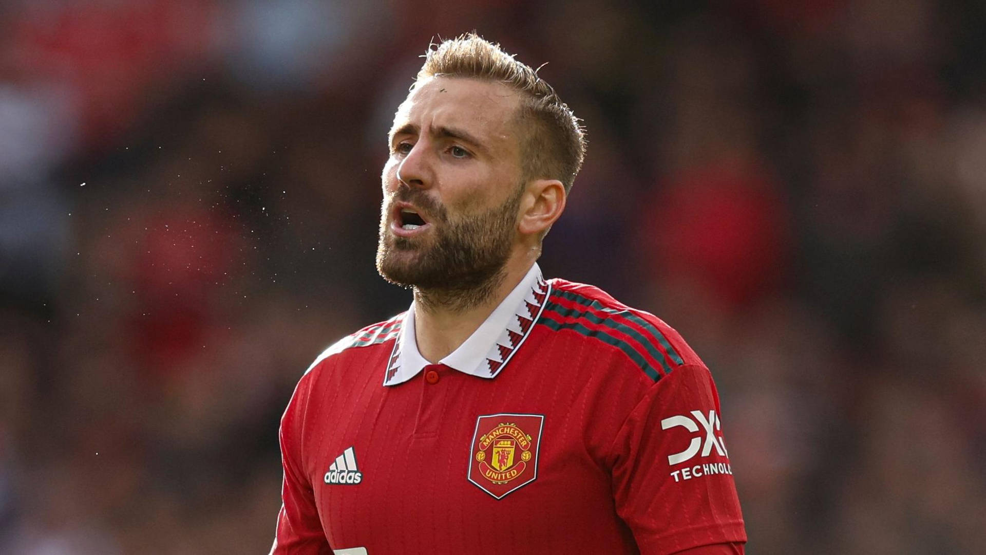 luke-shaw-255.jpeg