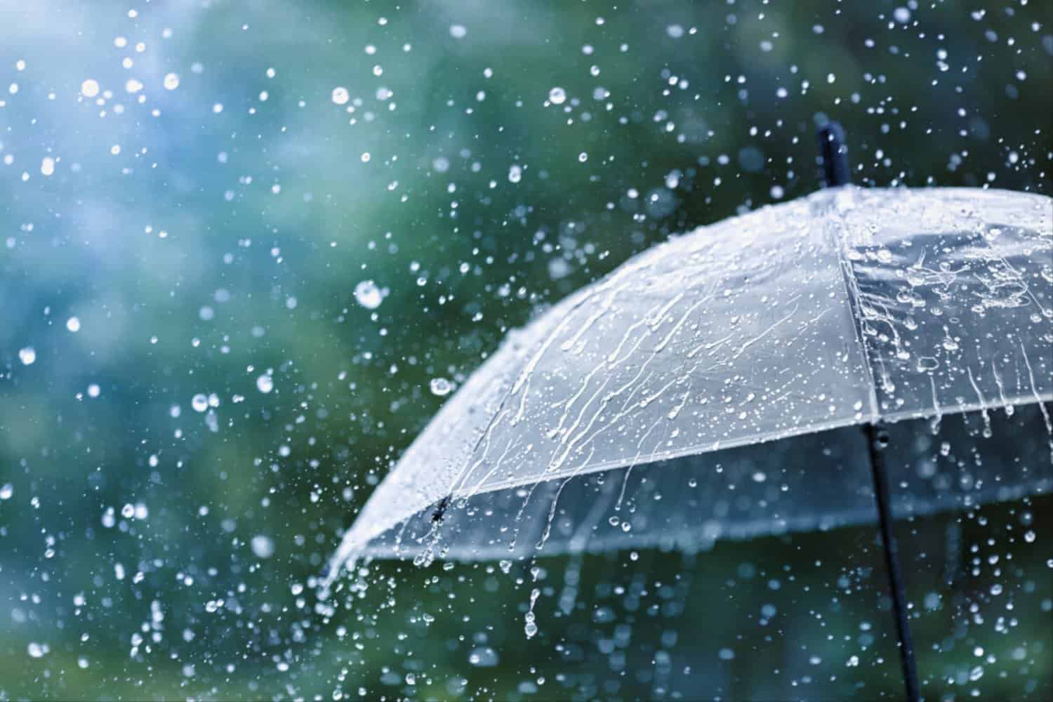 rain-radar-210.jpeg