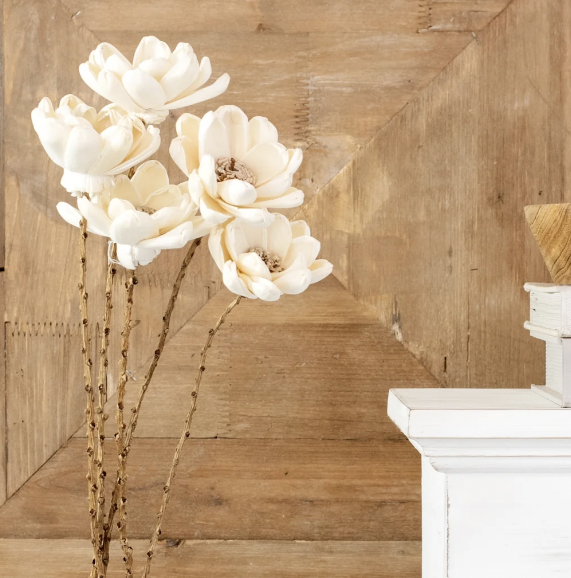 white-poppy-18.png