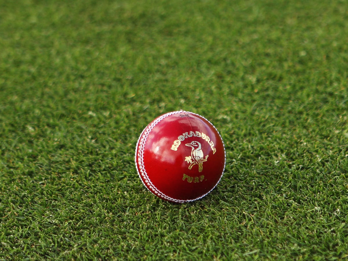 afghanistan-vs-west-indies-36.jpeg