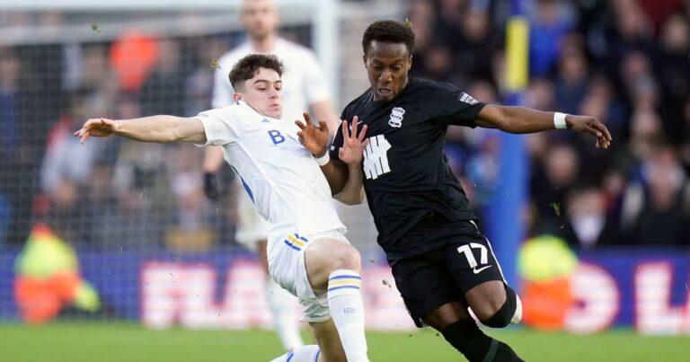 birmingham-vs-leeds-united-64.jpg